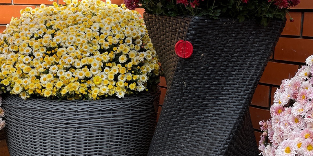 Кашпо,горшок,подвесное кашпо,любая ёмкость