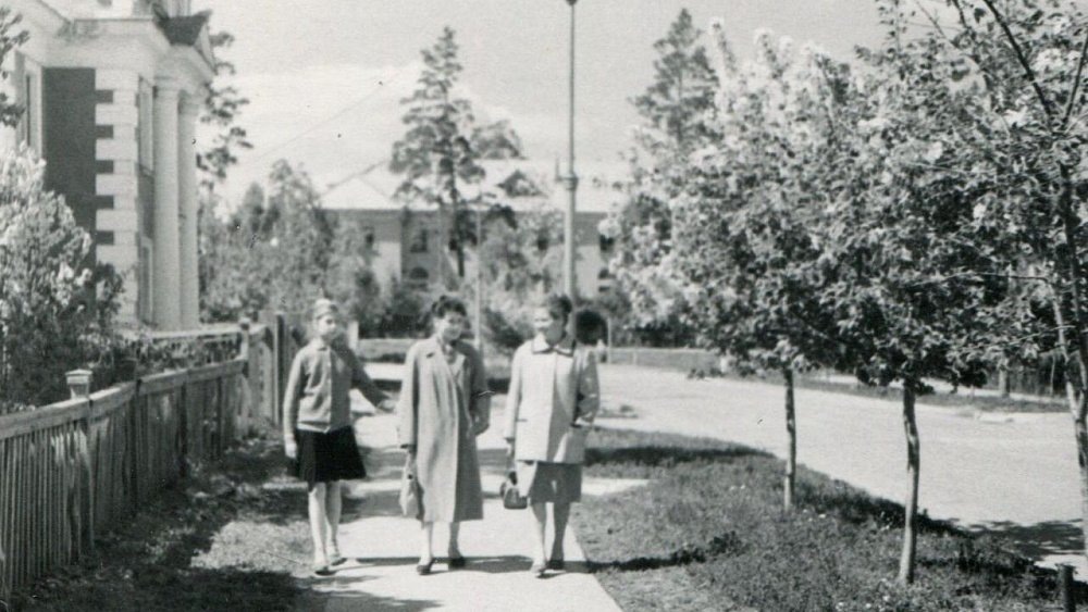 Фото: ИА «Первое областное», ОГАЧО