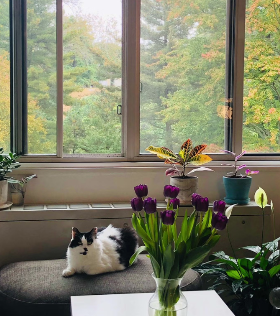 Зайдуллина сказала, что пыталась связаться с Сеничкиной по поводу передачи Лизы, но с момента вынесения судебного решения не получила никакого ответа © Алия Зайдуллина