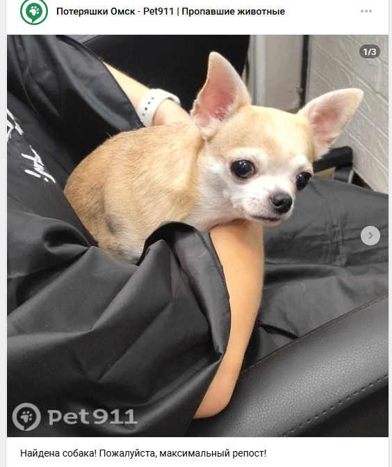 скриншот автора