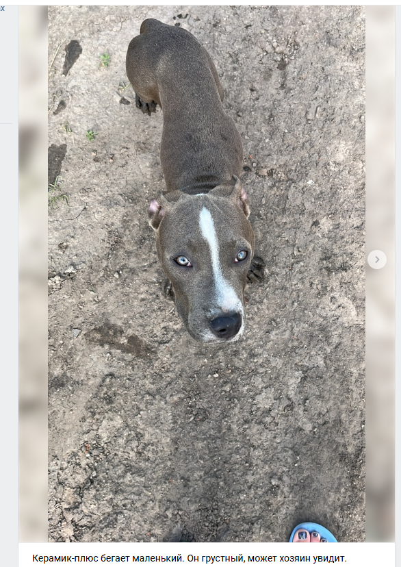 скриншот автора