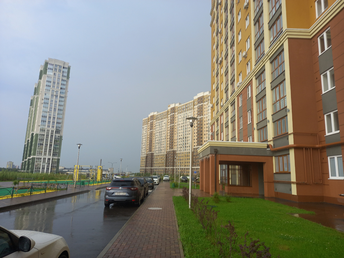 Выкошенный чуть ли не до самой земли моновидовой газон с жалкими прутиками вместо кустарников - идеал строительных компаний и местных жителей