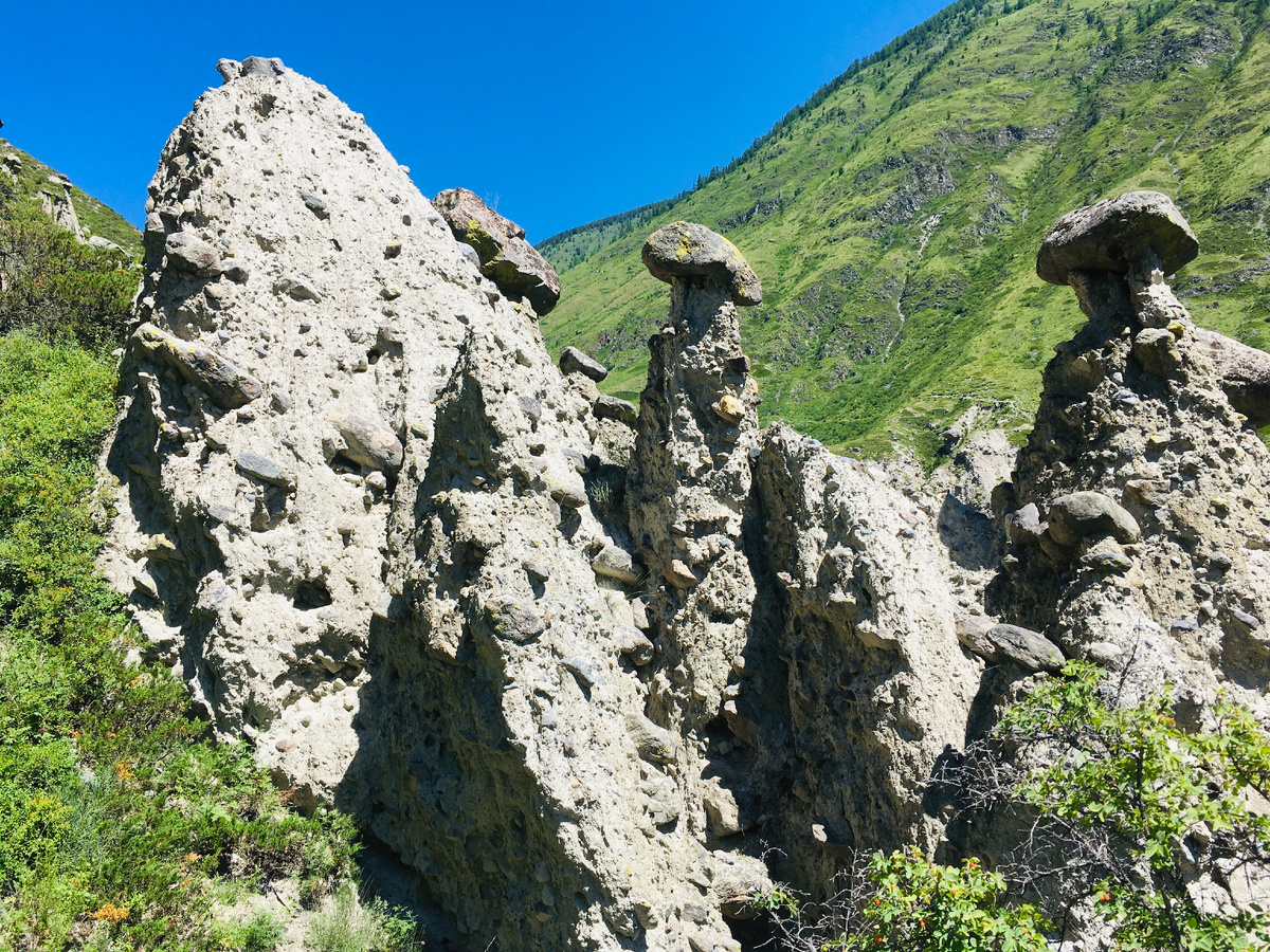 Каменные грибы