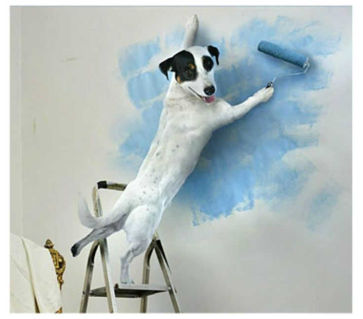 Яндекс.Картинки