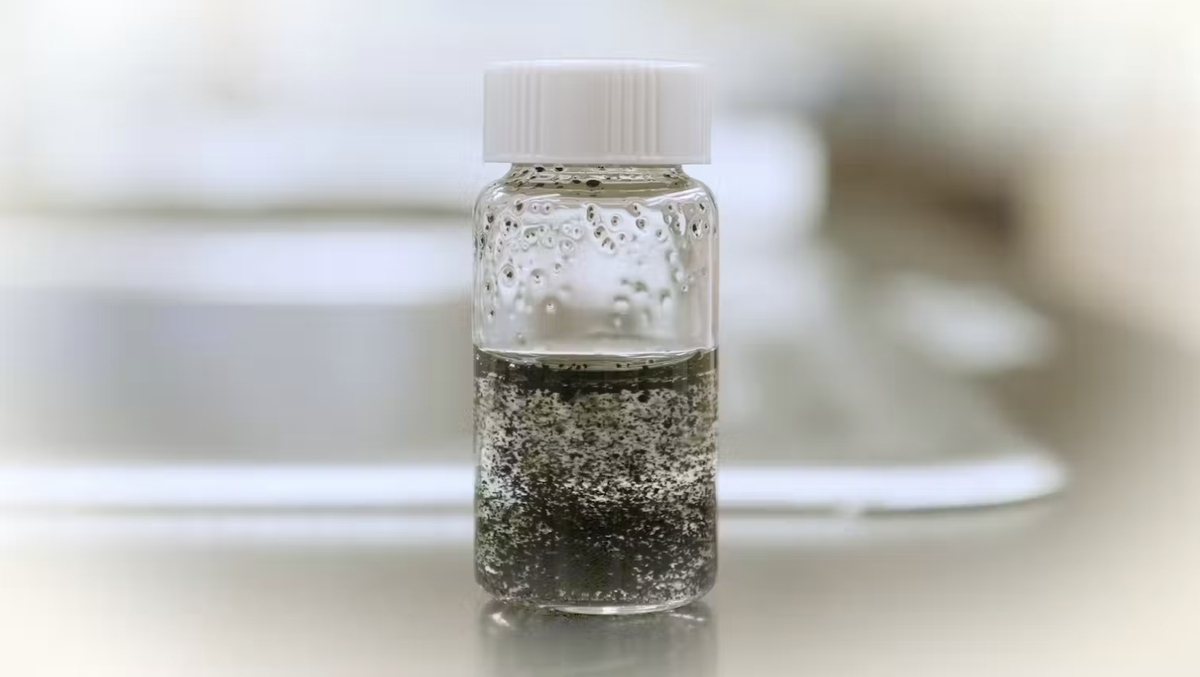 Большинство частиц резины очень маленькие. Саския Мадленер/Стейси Харпер/Университет штата Орегон