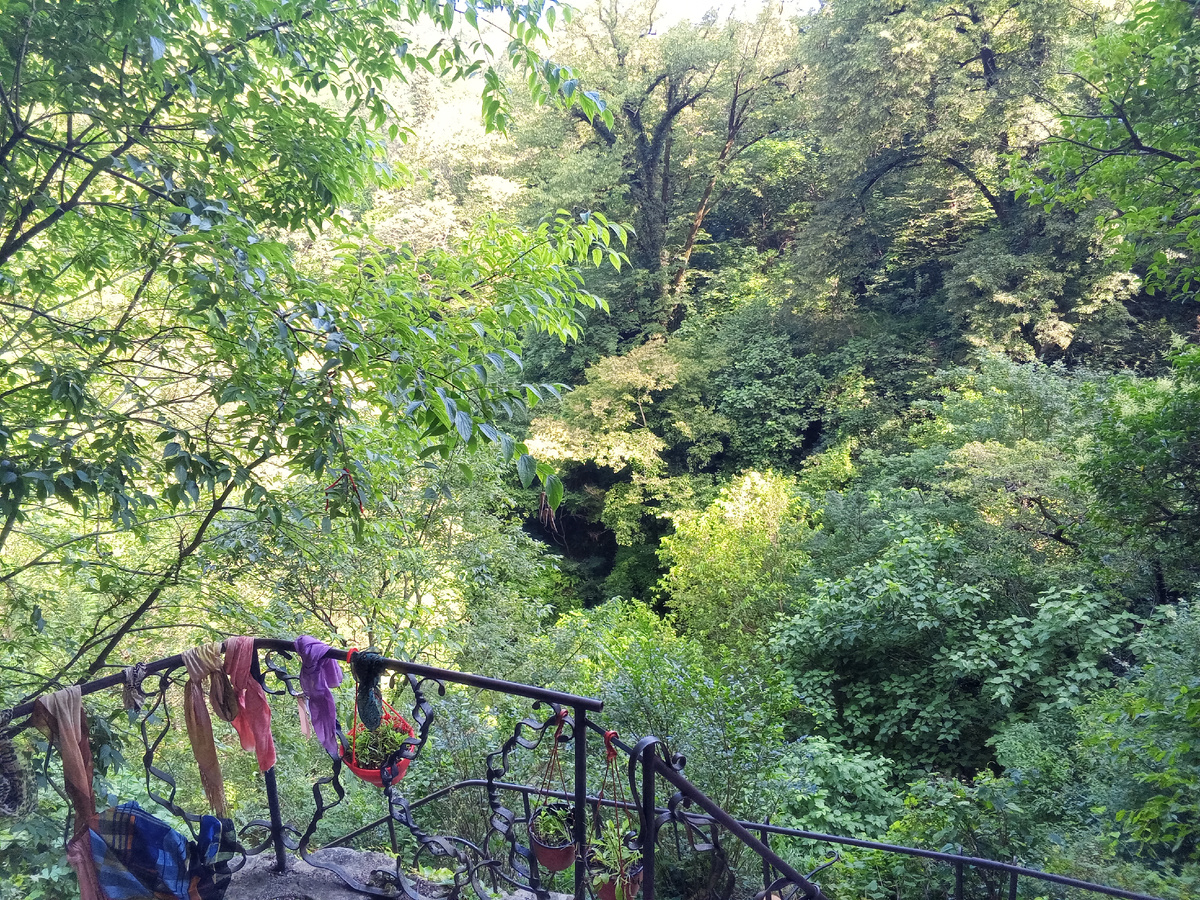 Национальный парк, Новый Афон. Абхазия-2025