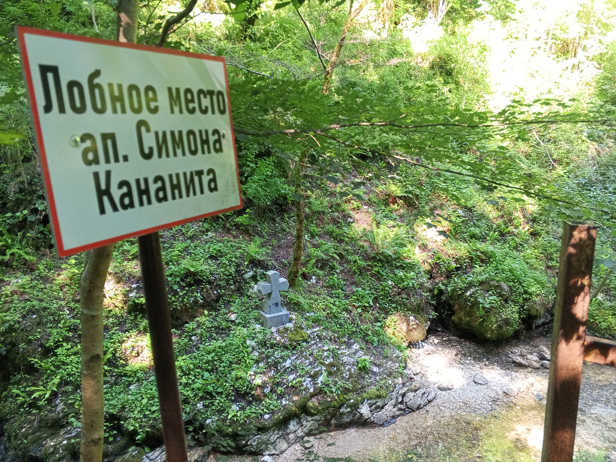 Национальный парк, Новый Афон. Абхазия-2025