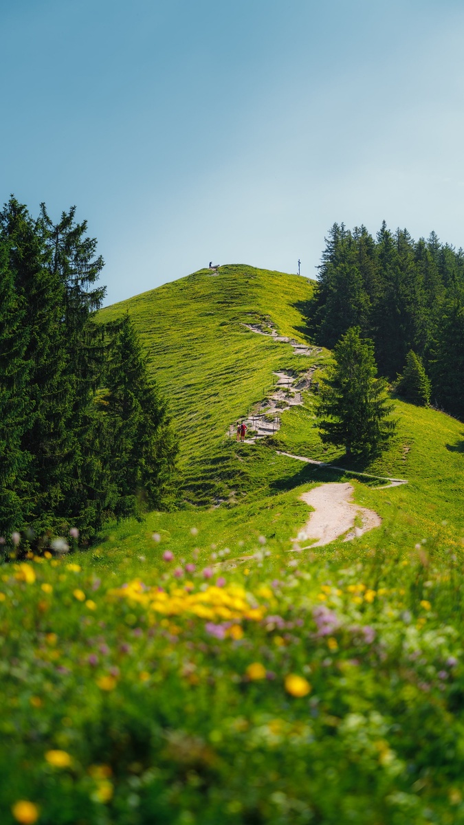 Прогулка могла обернуться трагедией.