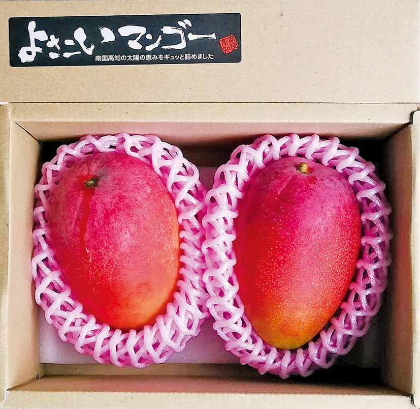 Фото из свободных источников интернета