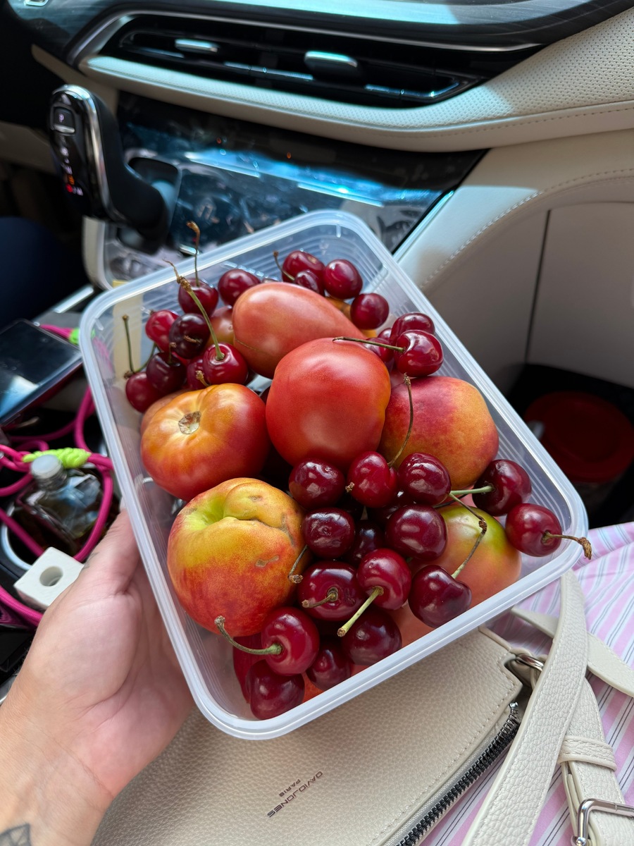 Детали нашего комфортного трансфера