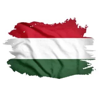 https://avatars.mds.yandex.net/i?id=d88976a10d3bb9804cd91ce7217fd2e785d00125-8376360-images-thumbs&n=13