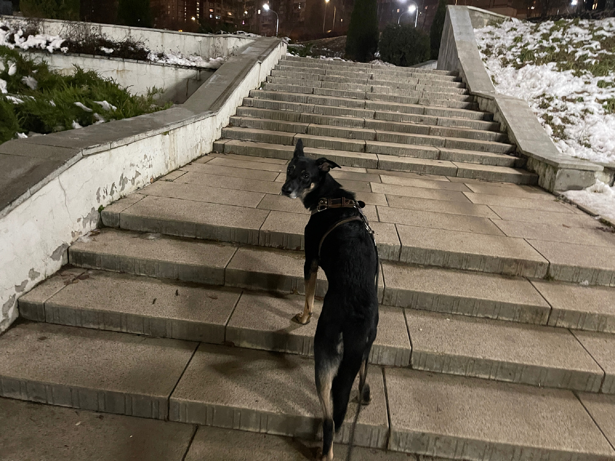 Это я иду по лестнице в парке. Да, вечером. Но так спокойней 😌