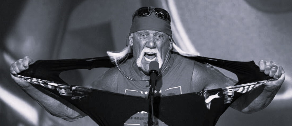 Источник: https://gamemag.ru/news/195343/hulk-hogan-rip/page/2