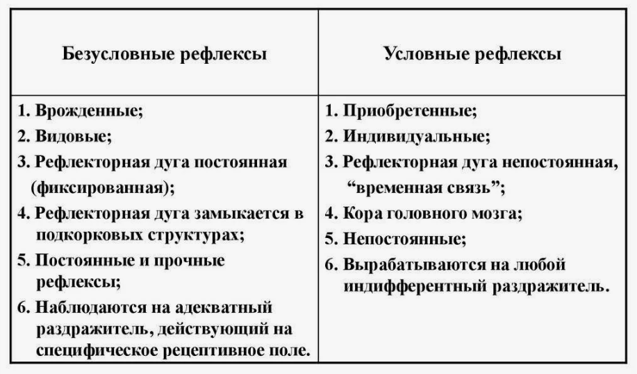 Отличие безусловных и условных рефлексов