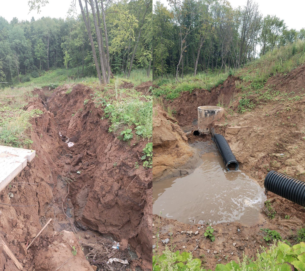 Автор фото: официальный телеграм-канал депутата Госдумы ФС РФ Жанны Рябцевой