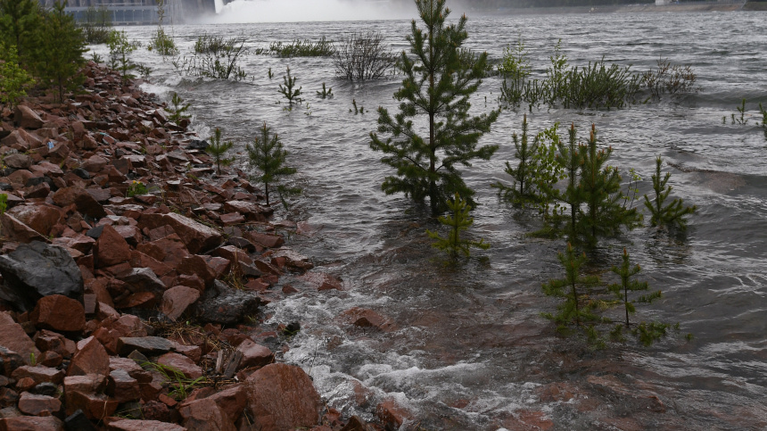    Фото: © РИА Новости/Илья Наймушин