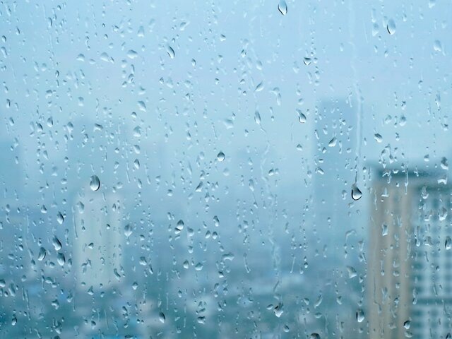    Фото: 123RF/dimol