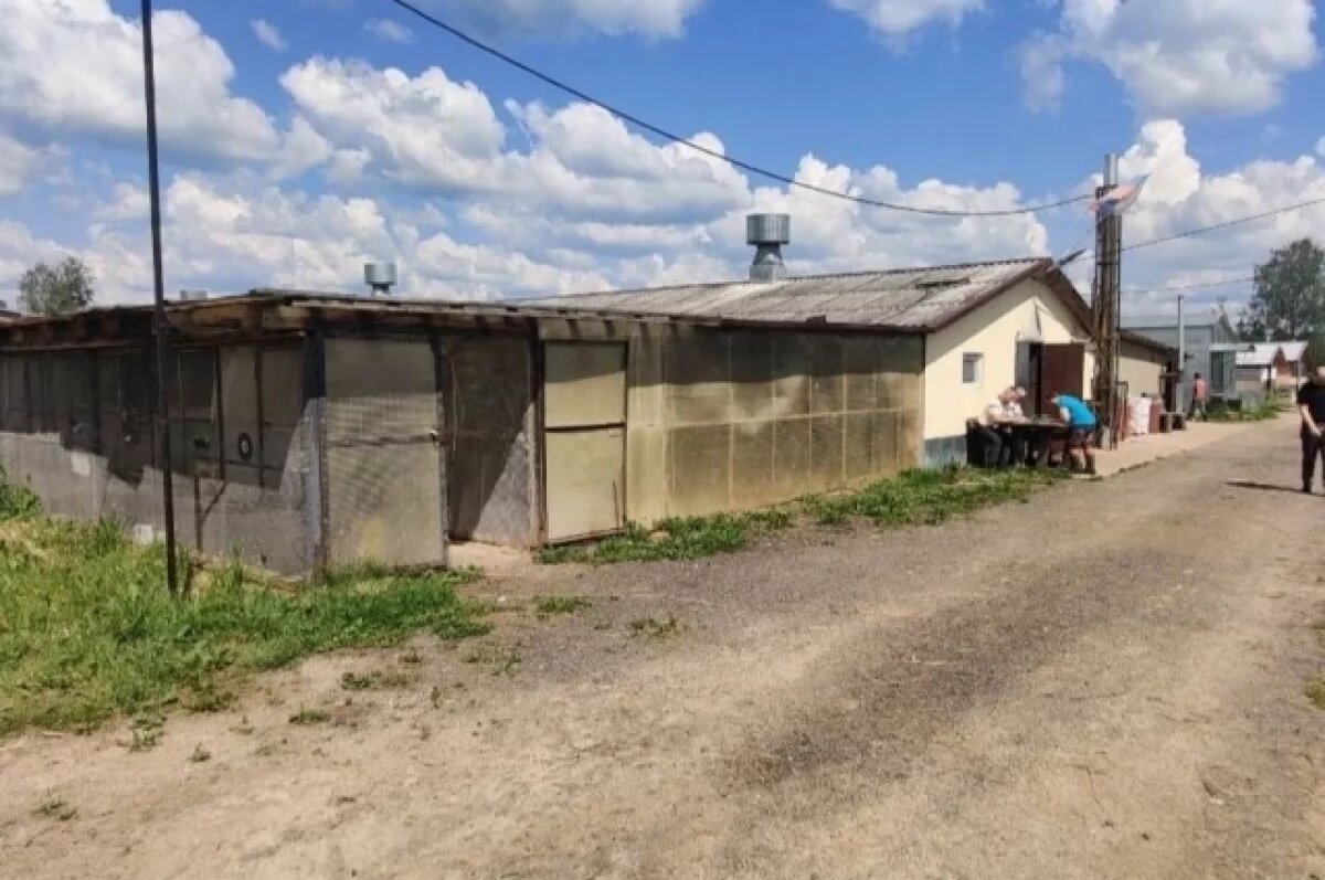    Фермер погиб от удара током в Порховском районе