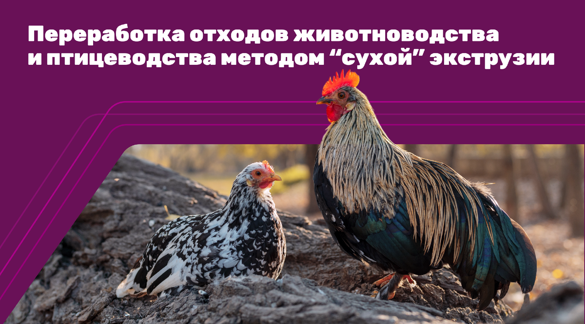 Почему сухая экструзия становится всё более популярной 