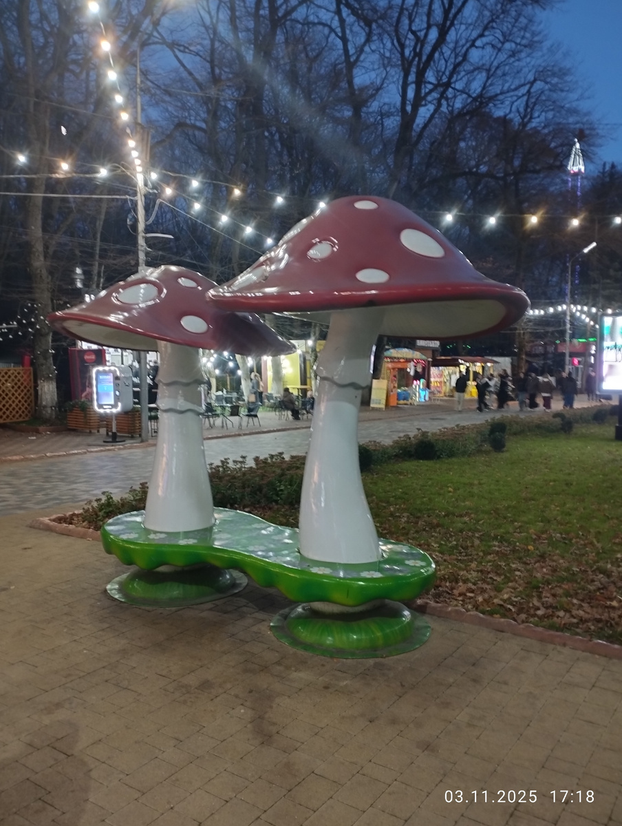 Фото автора.