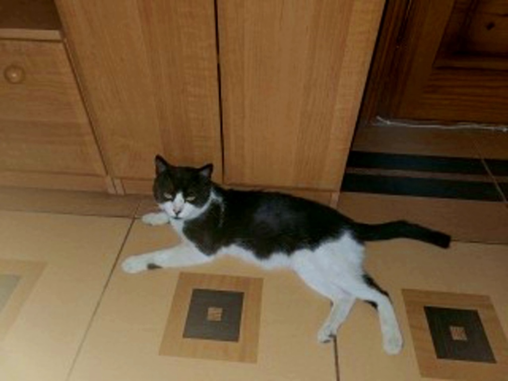 Тимофей сегодня утром