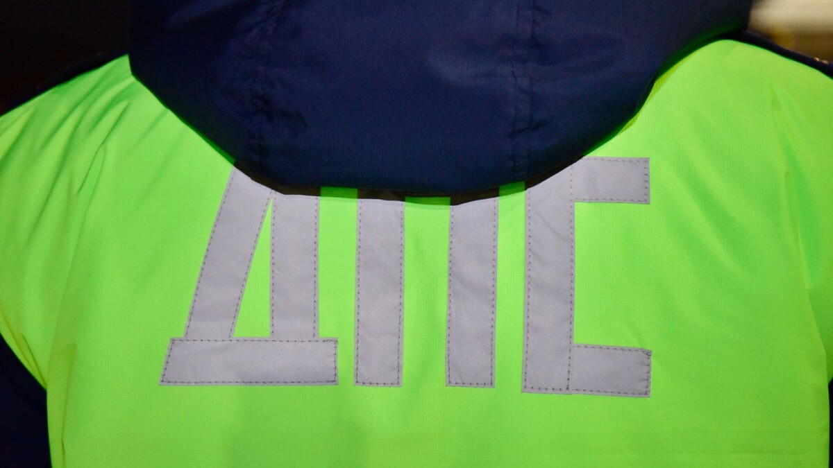    Фото: Андрей Ткачев/«Ямал-Медиа»