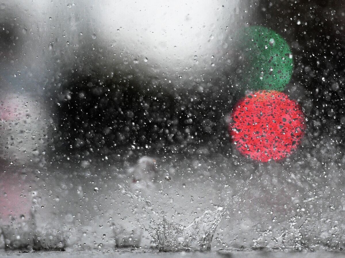    Дождь в городе© РИА Новости / Владимир Астапкович