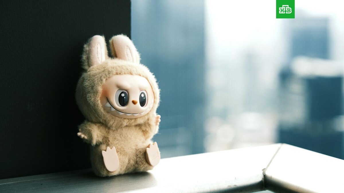    Фото: David Kristianto / unsplash.com