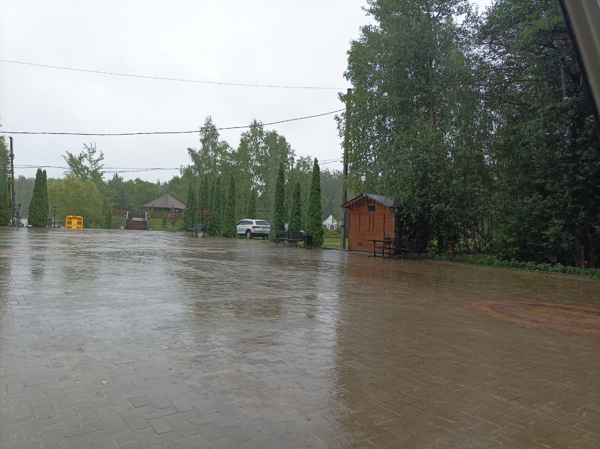 Фото из машины