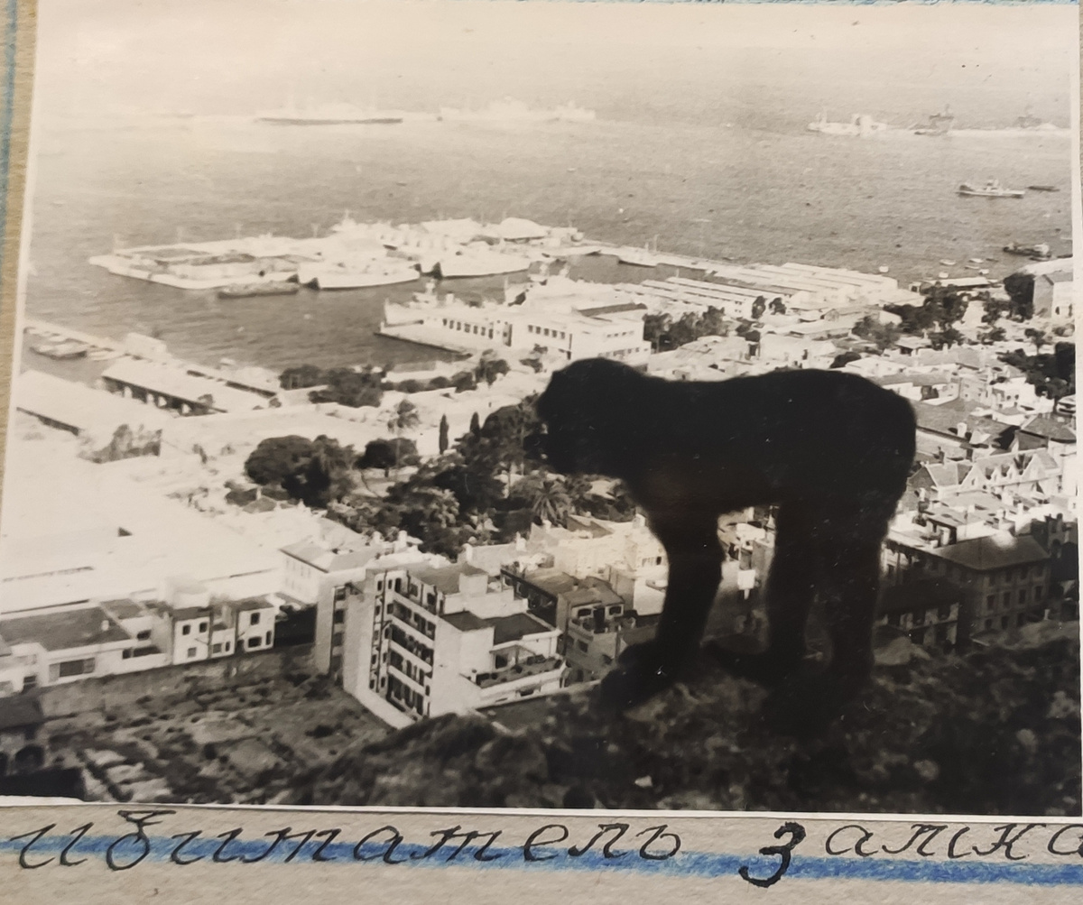 Фото из личного альбома 