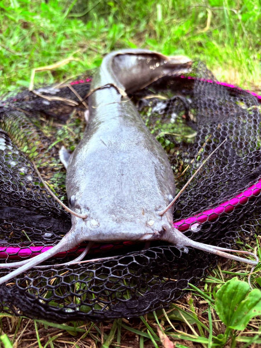 Рыбалка по-простецки 