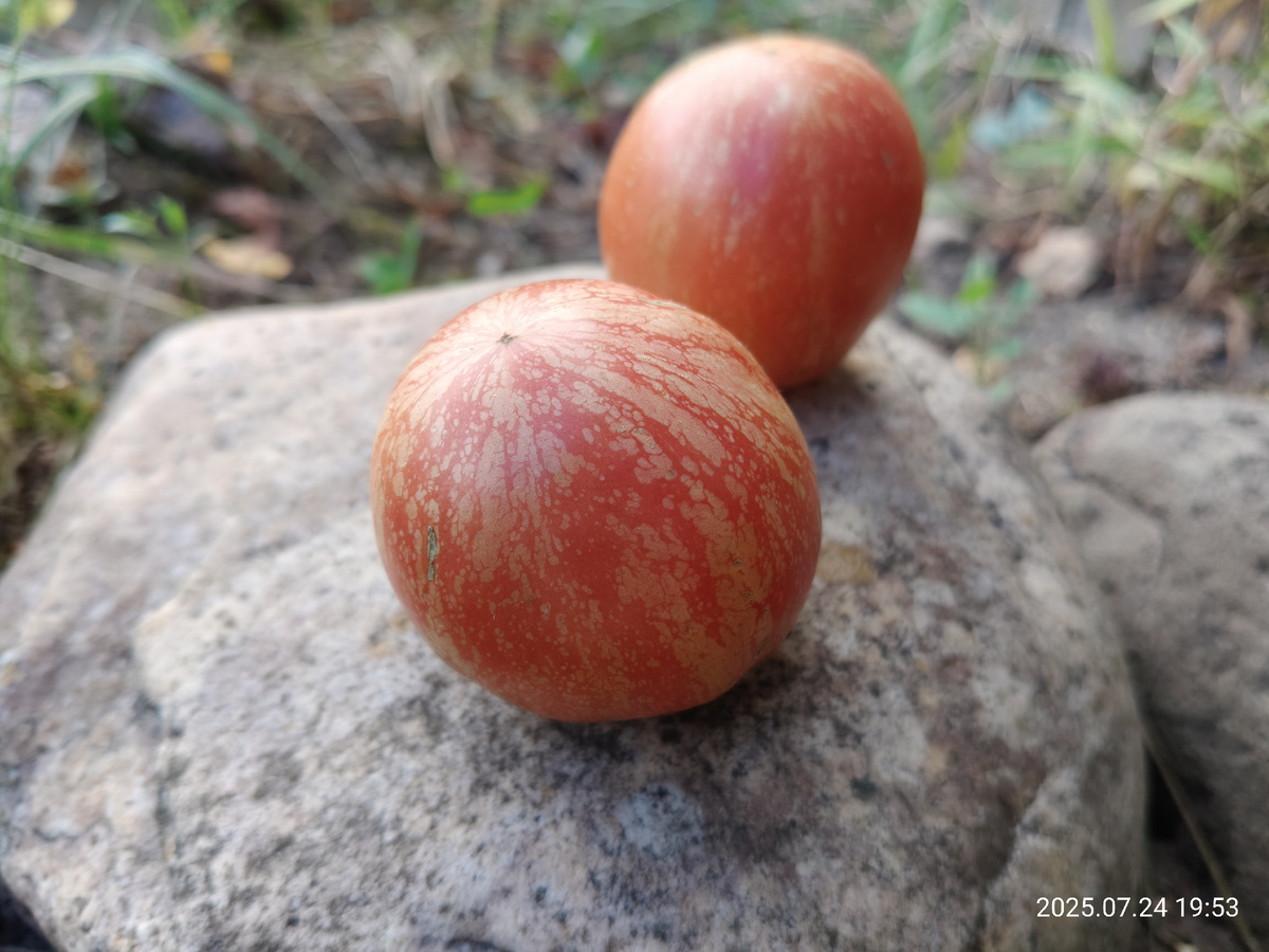 Каскад лава