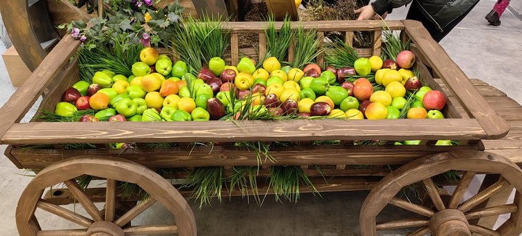    Фото: Лукьянов Дмитрий, AgroXXI.ru