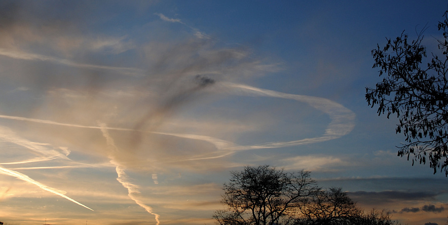    Фото: из публикаций 1rnd Веселовские вести