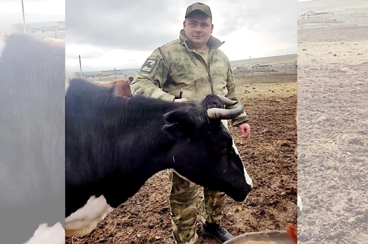    После ранения Александр Тарашевский продолжает развивать хозяйство.