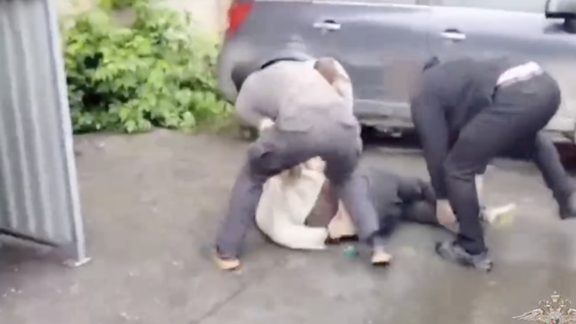    Telegram-канал Ирины Волк