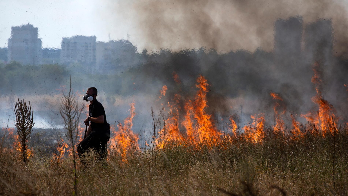    Фото: Getty Images