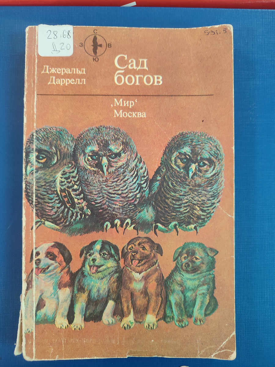 Эта книжка была, увы, без картинок.