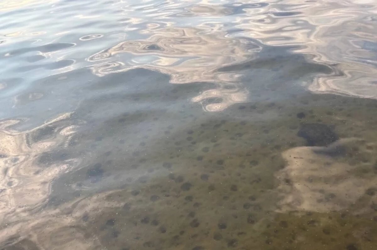    В Республике Алтай спустя две недели нашли тело утонувшего мужчины