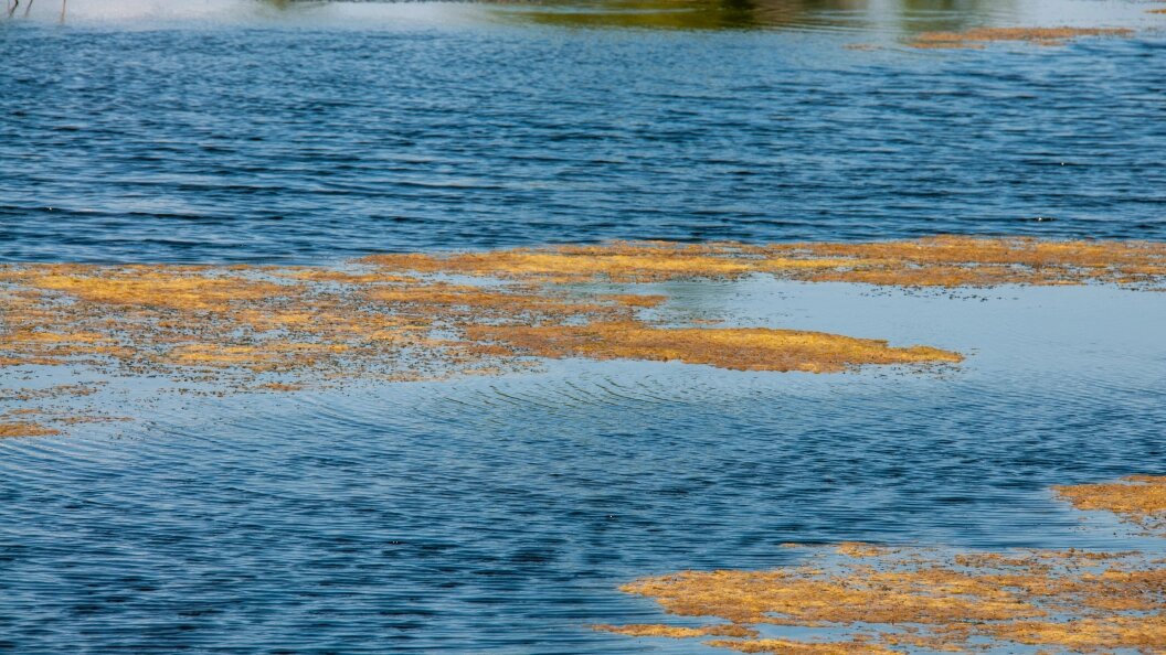    Svetlana Vozmilova/Globallookpress