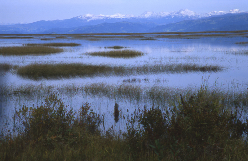    Фото: Konstantin Mikhailov/Russian Look/Global Look Press