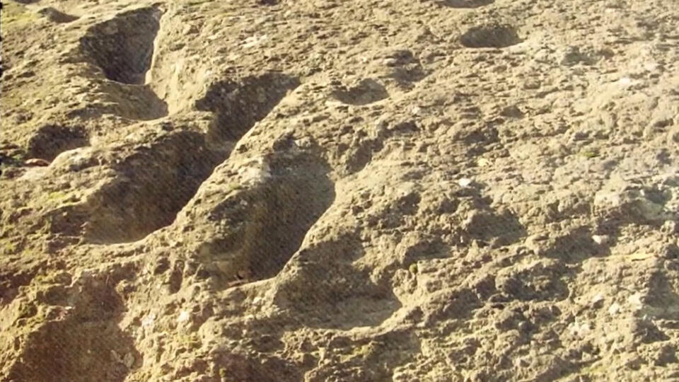 Фото: © Кадр из программы "Загадки человечества", РЕН ТВ