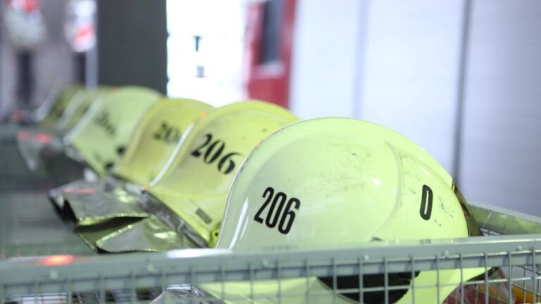    Фото: t.me/DGONews Анна Мигинеишвили