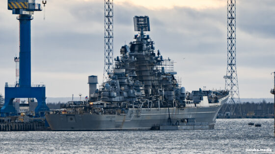     Фото: Олег Кулешов / Медиапалуба / 2024 год