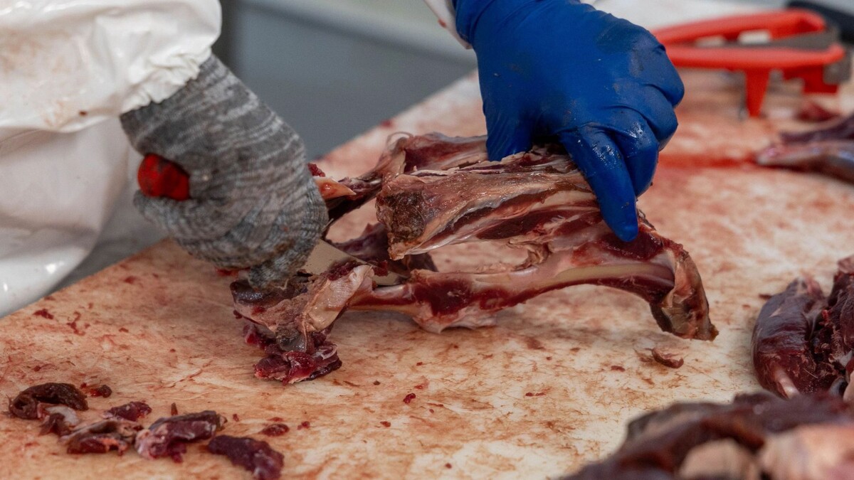    Фото: Александр Чирва/«Ямал-Медиа»