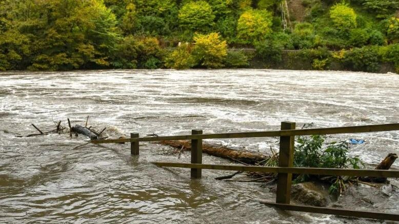    Фото: Ceri Breeze/Shutterstock/Fotodom