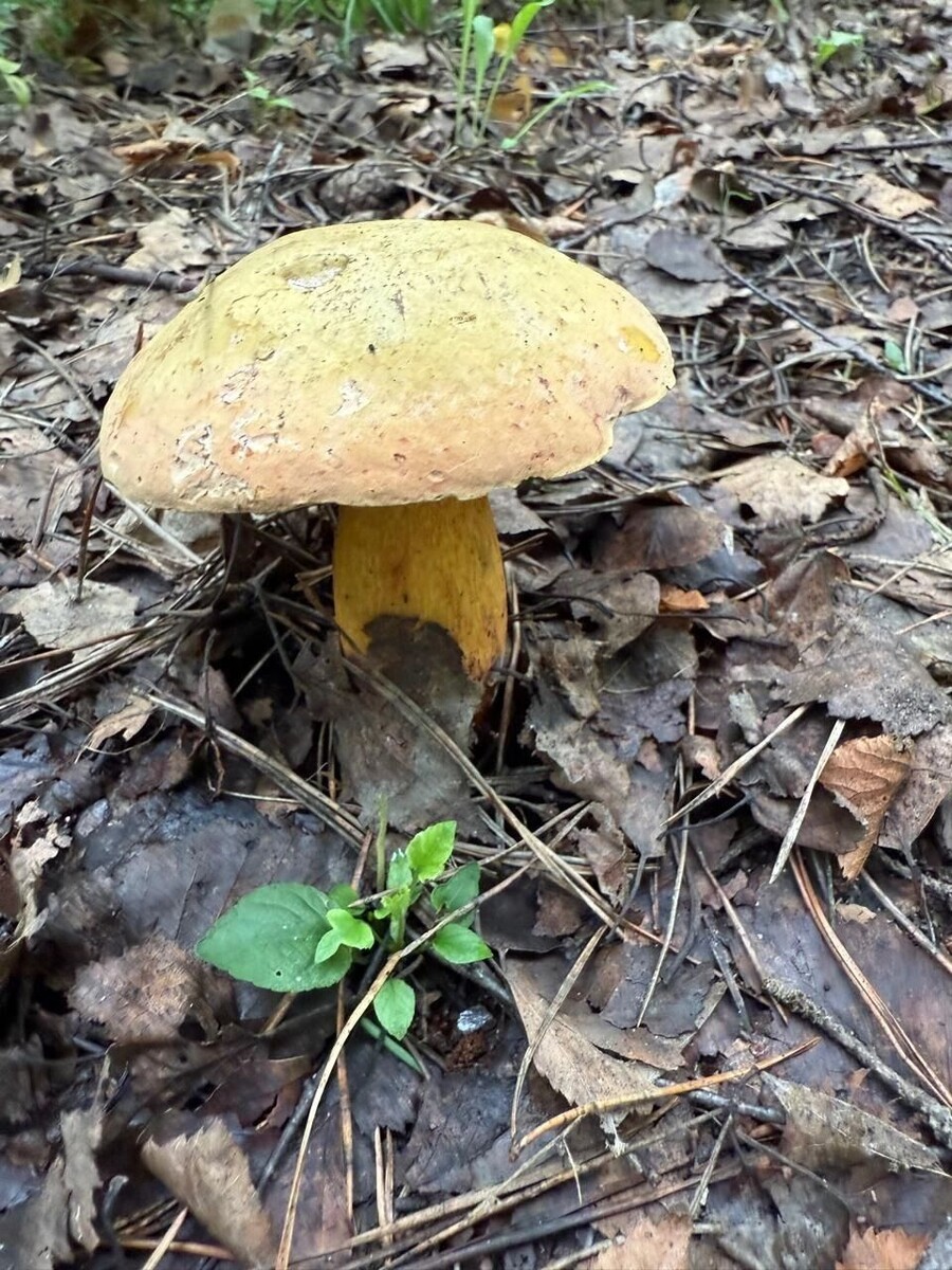     Источник: Telegram-канал Евгения Люлина