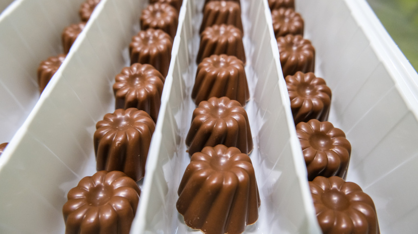    Фото: www.globallookpress.com/Bulkin Sergey