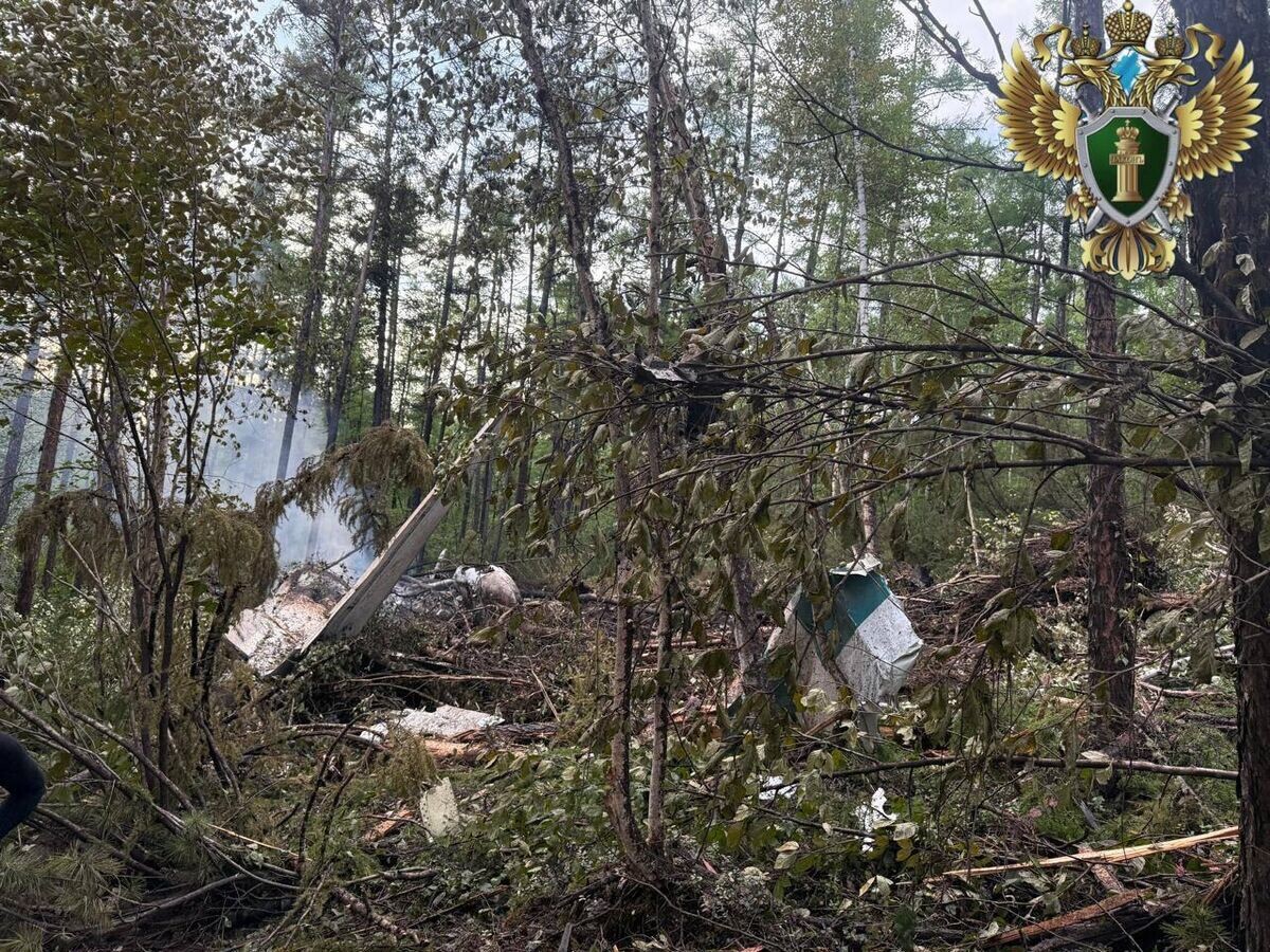    Место крушения пассажирского самолета Ан-24 в Амурской области© Фото : Дальневосточная транспортная прокуратура