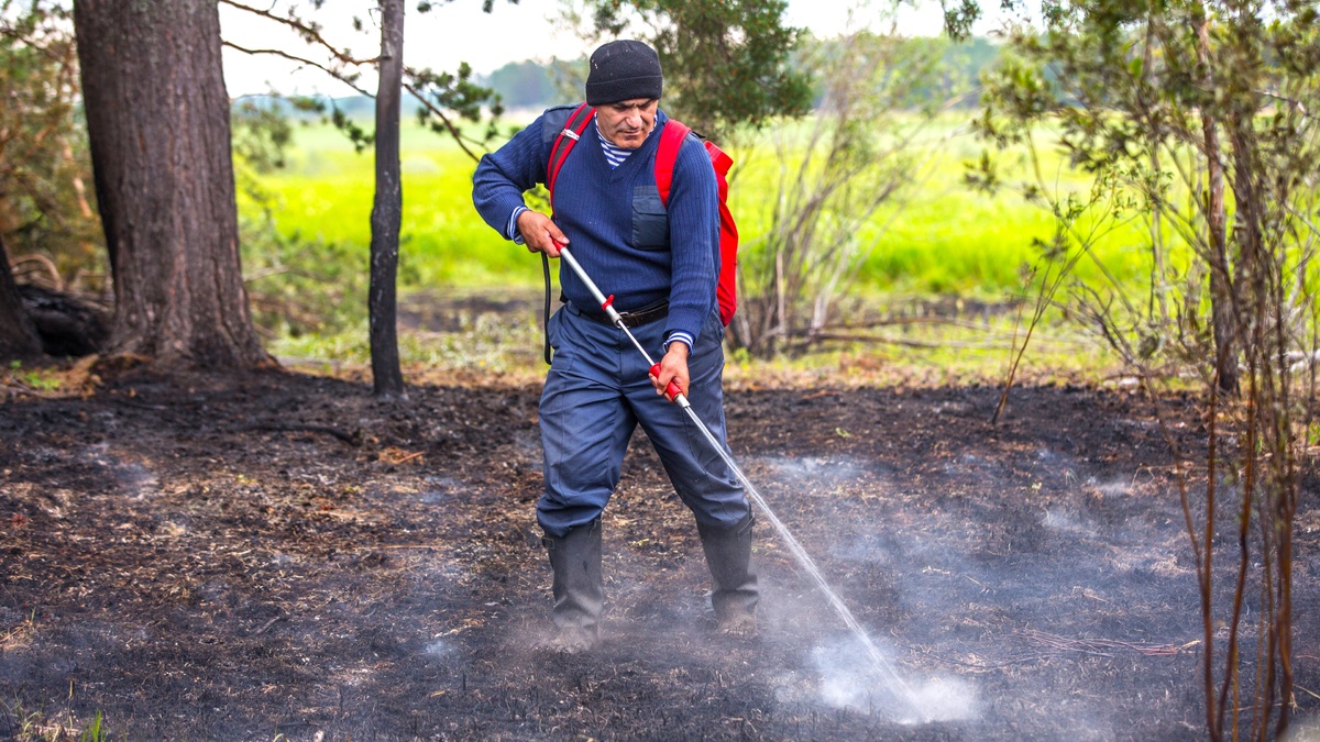    В Советском районе локализовали 4 лесных пожара